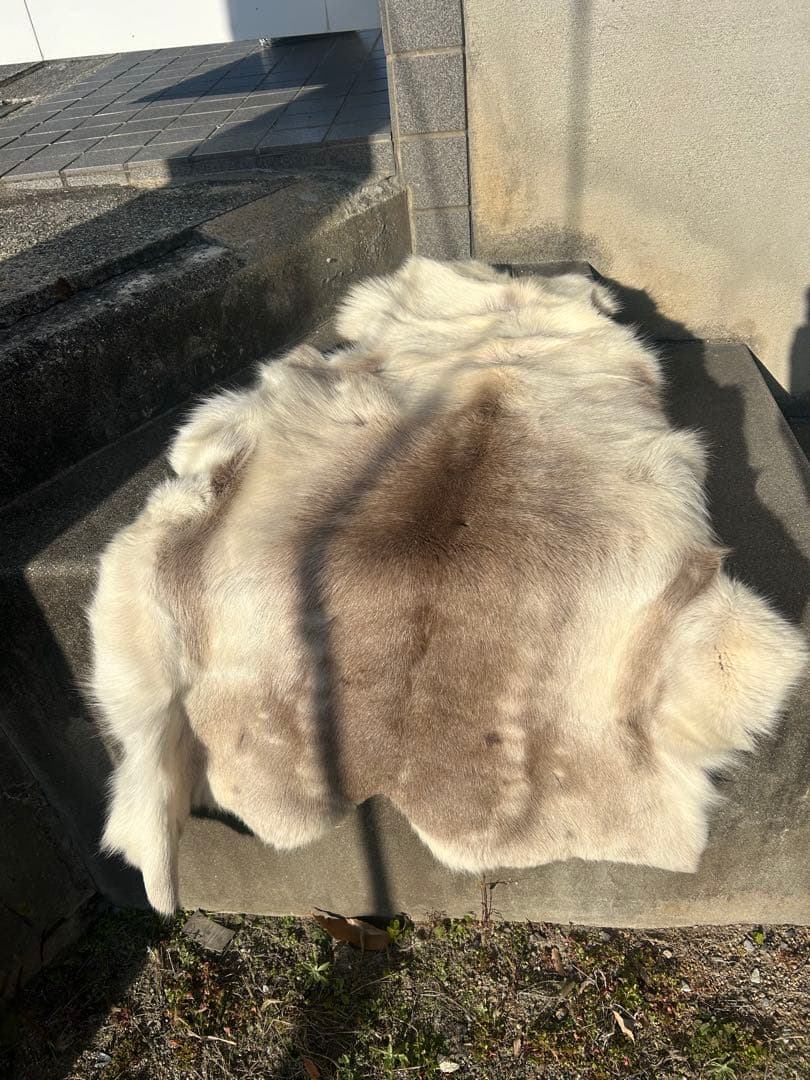 DALUM REINDEER FUR WARD L ダーラム トナカイファー