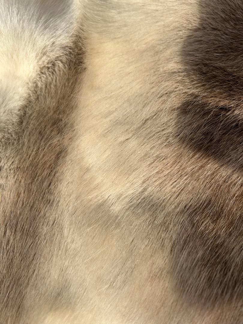 DALUM REINDEER FUR WARD L ダーラム トナカイファー