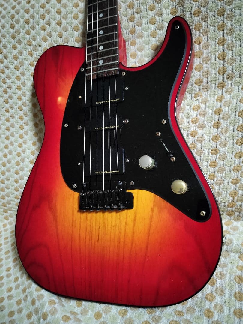 VALLEY ARTS Custom Line Limited Mシリーズ