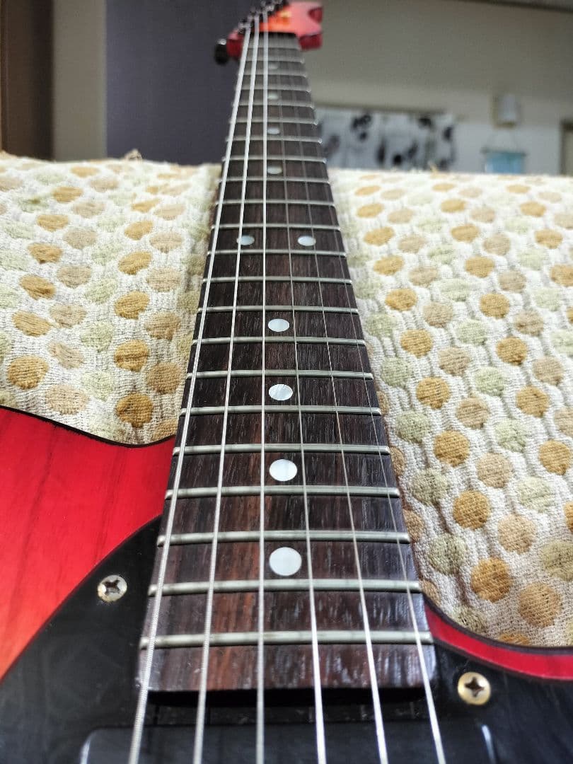 VALLEY ARTS Custom Line Limited Mシリーズ