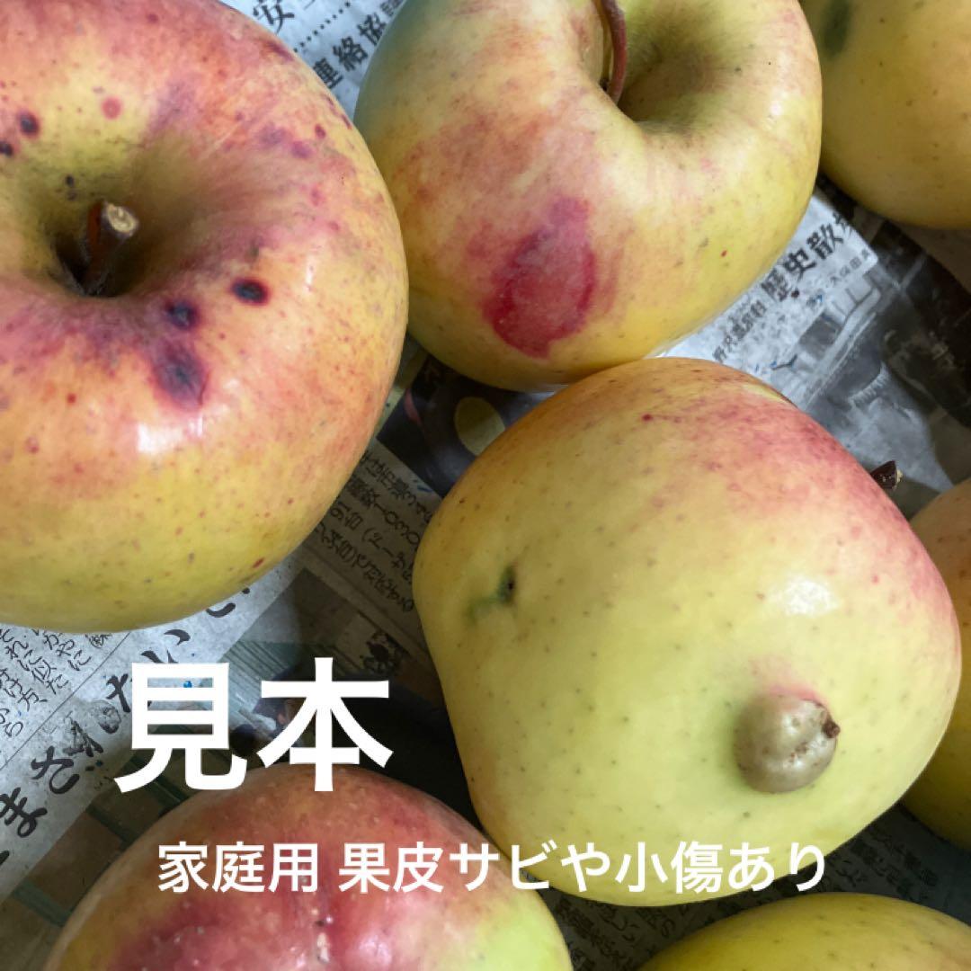 のぶりん　ぐんま名月