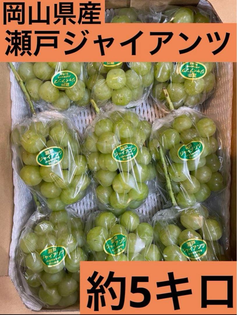 ④【岡山県産】瀬戸ジャイアンツ　7〜12房　約5キロ