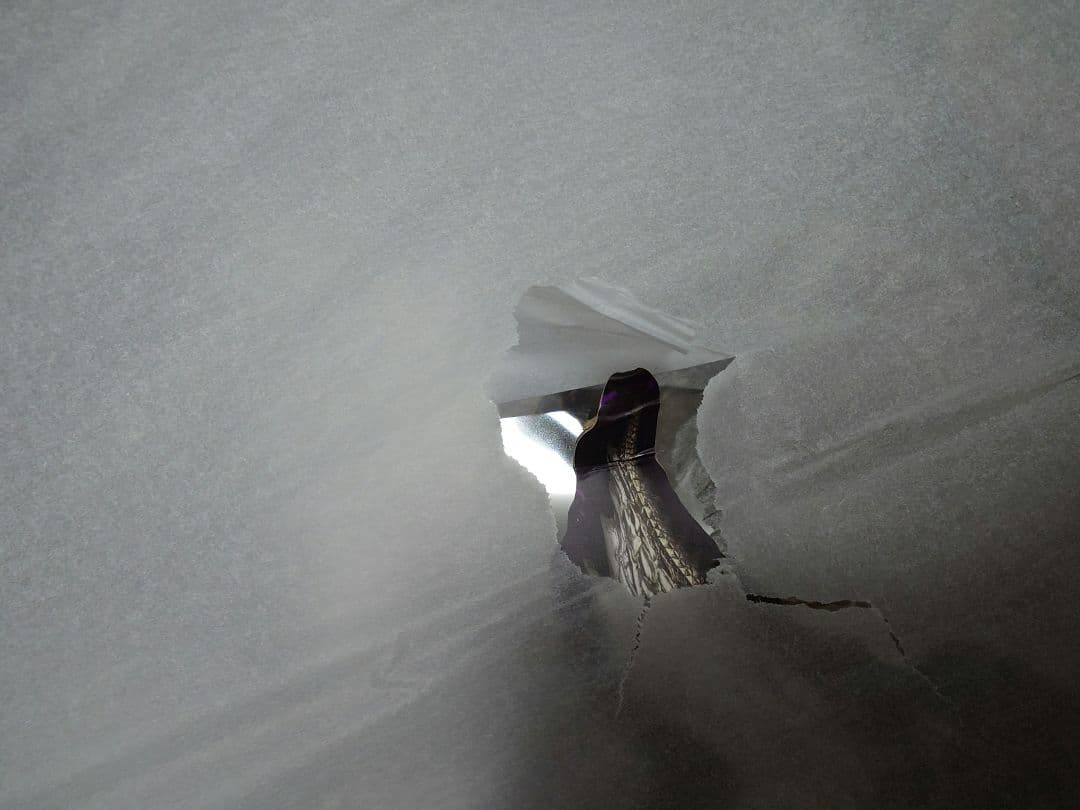 カプコンフィギュアビルダー クリエイターズモデル 天廻龍 シャガルマガラ