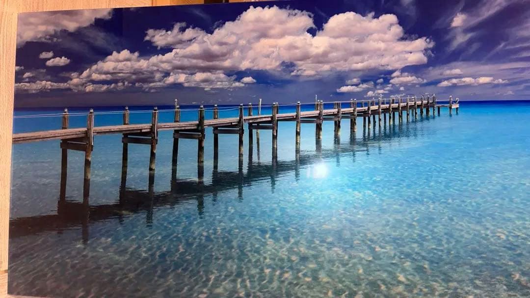 ピーターリック　Mid summer dream フロリダ