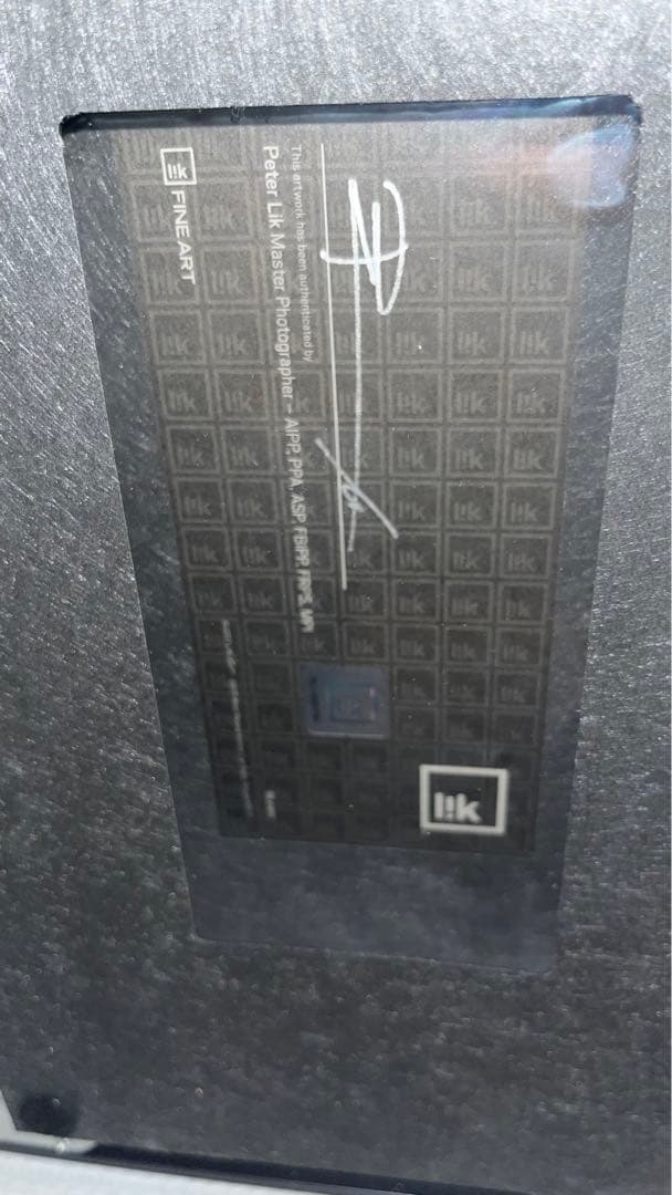 ピーターリック　Mid summer dream フロリダ