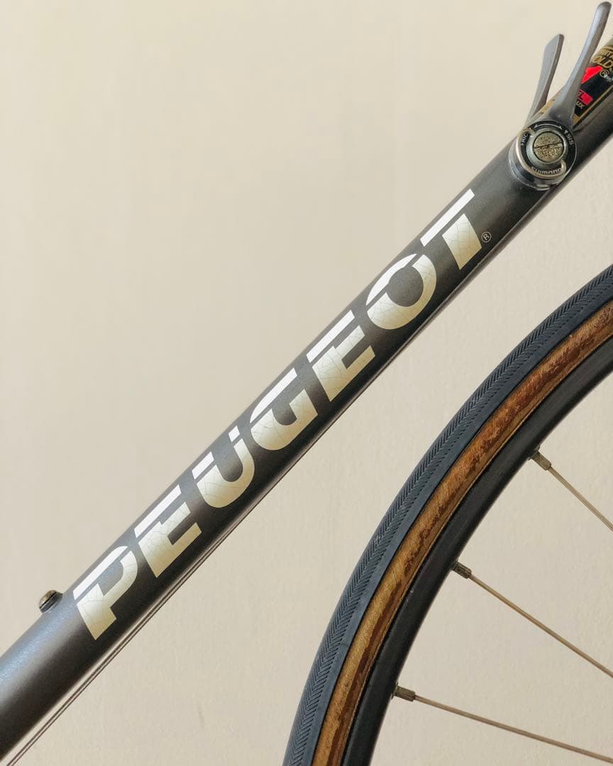 PEUGEOT プジョー Aneto CFX10 REYNOLDS 531