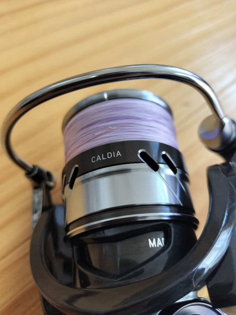 DAIWA　CALDIA 　LT1000S-P スピニングリール ダイワ
