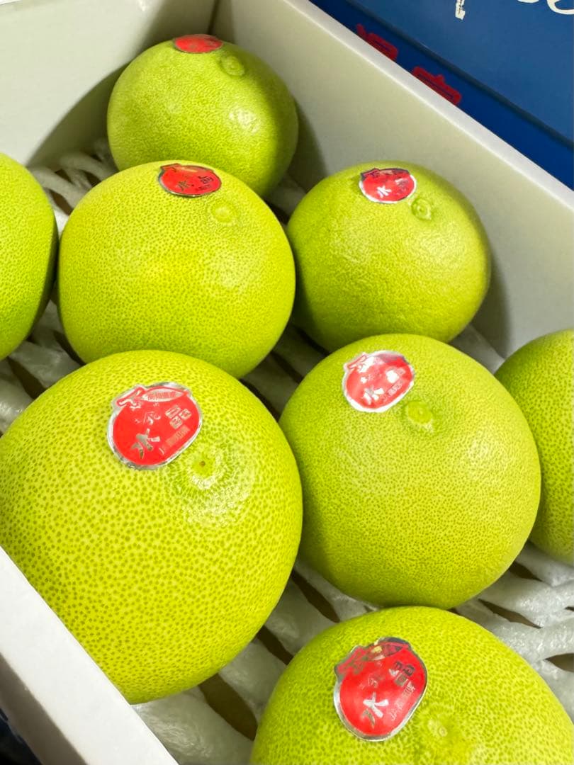 33高知特産 水晶文旦 8～6玉入 約3kg ×4箱文旦 産地直送 送料無料