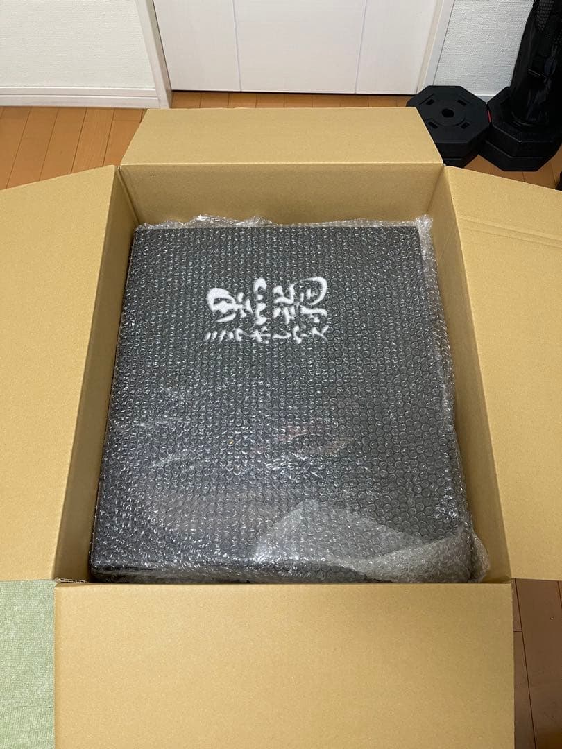 CAPCOMクリエイターズモデル ミラボレアスフィギュア