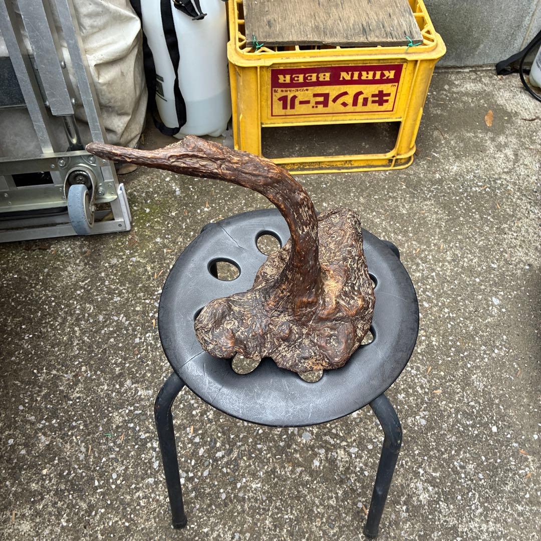 縁起物 ビンテージ木製置物 自然