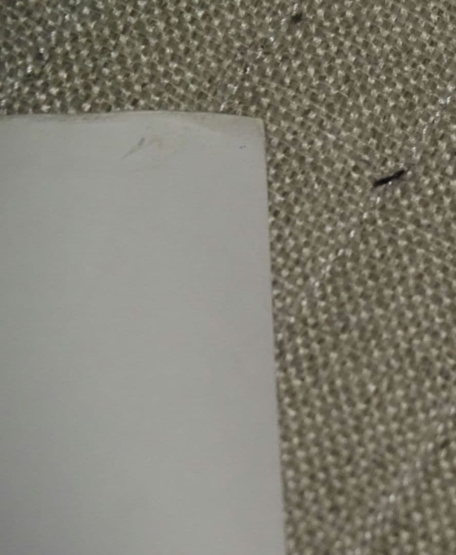 激レア RCサクセション 忌野清志郎 1988 HIBIYA YAON ポスター