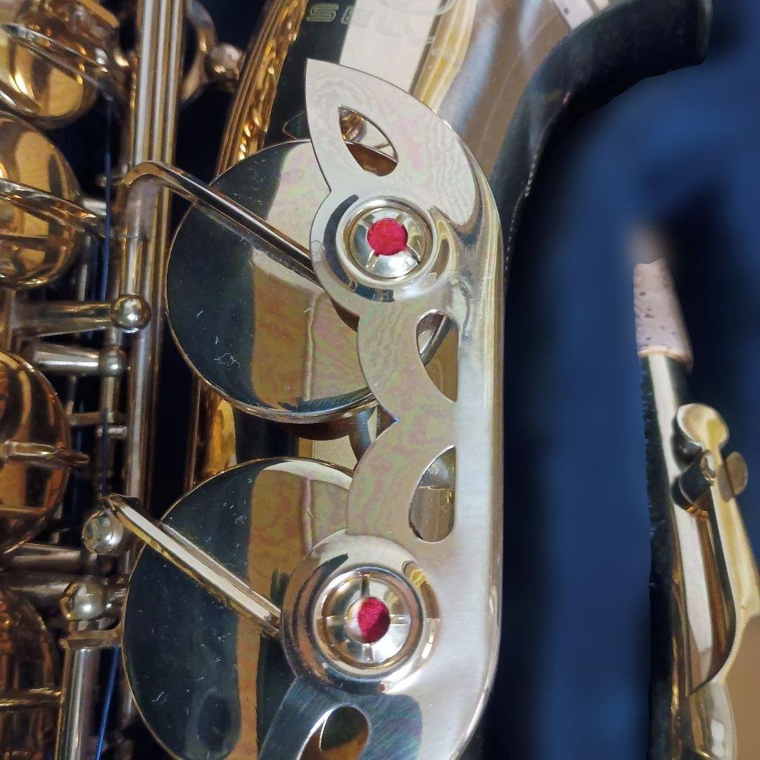 【美品】SELVA アルトサックス　初心者　SAS-100K サクソフォーン