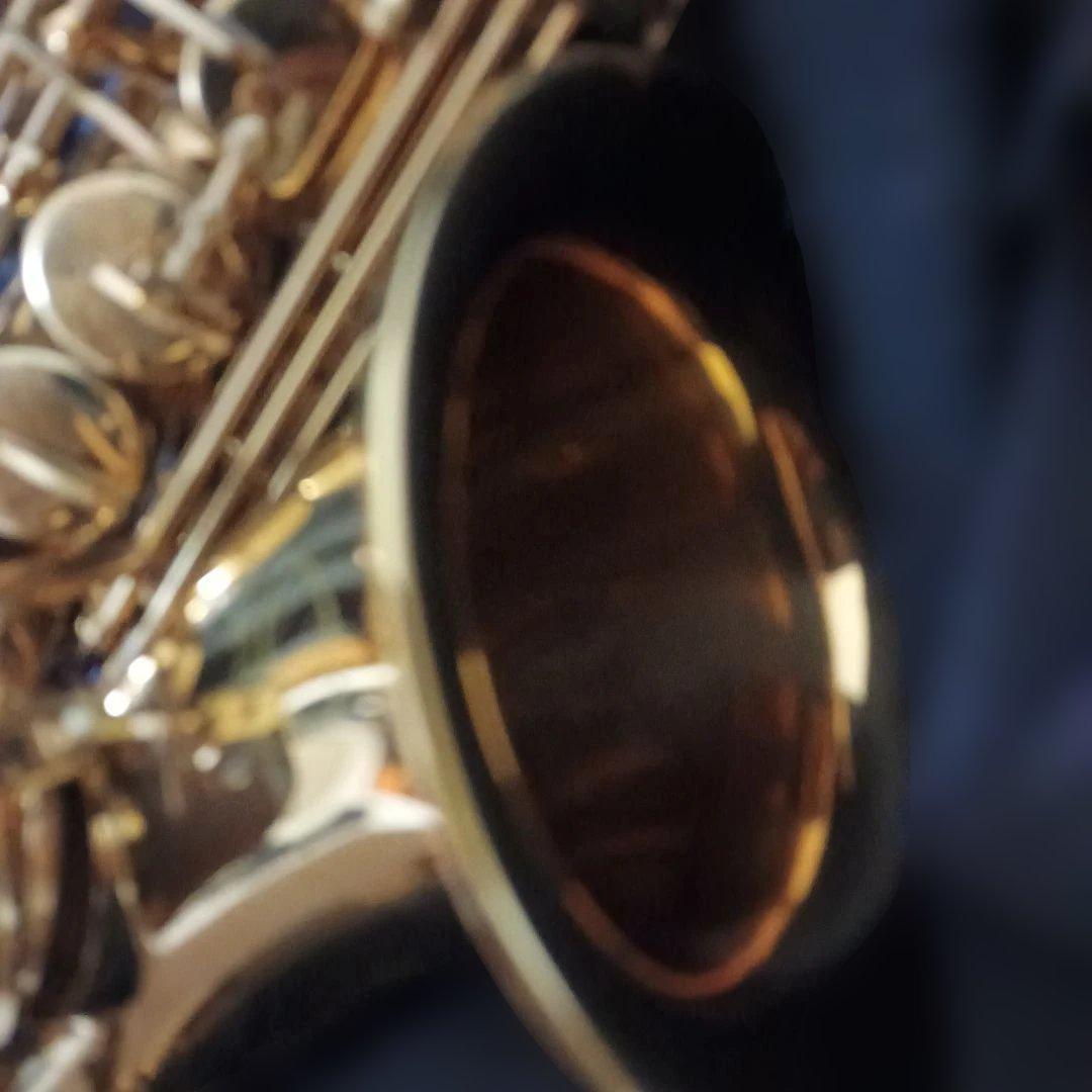 【美品】SELVA アルトサックス　初心者　SAS-100K サクソフォーン