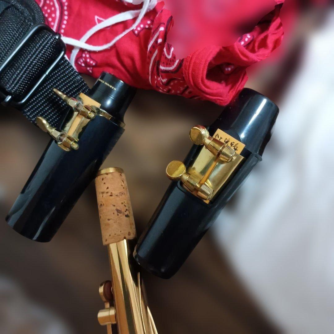 【美品】SELVA アルトサックス　初心者　SAS-100K サクソフォーン