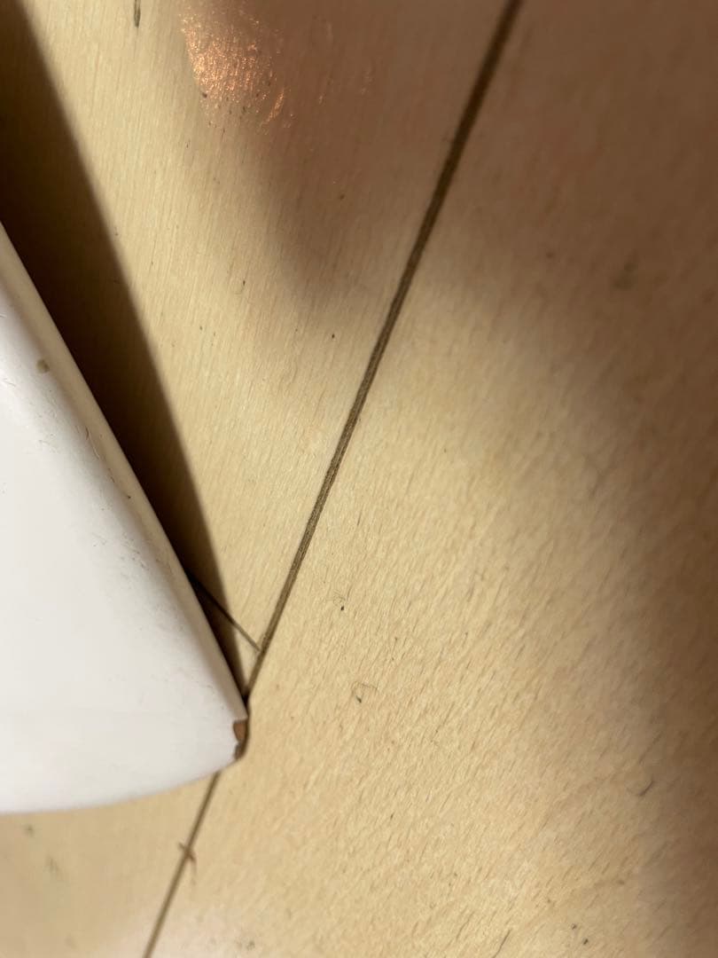 ロドニン さま専用　placeboプレセボ　SHORTROUND 5’ 6 ”