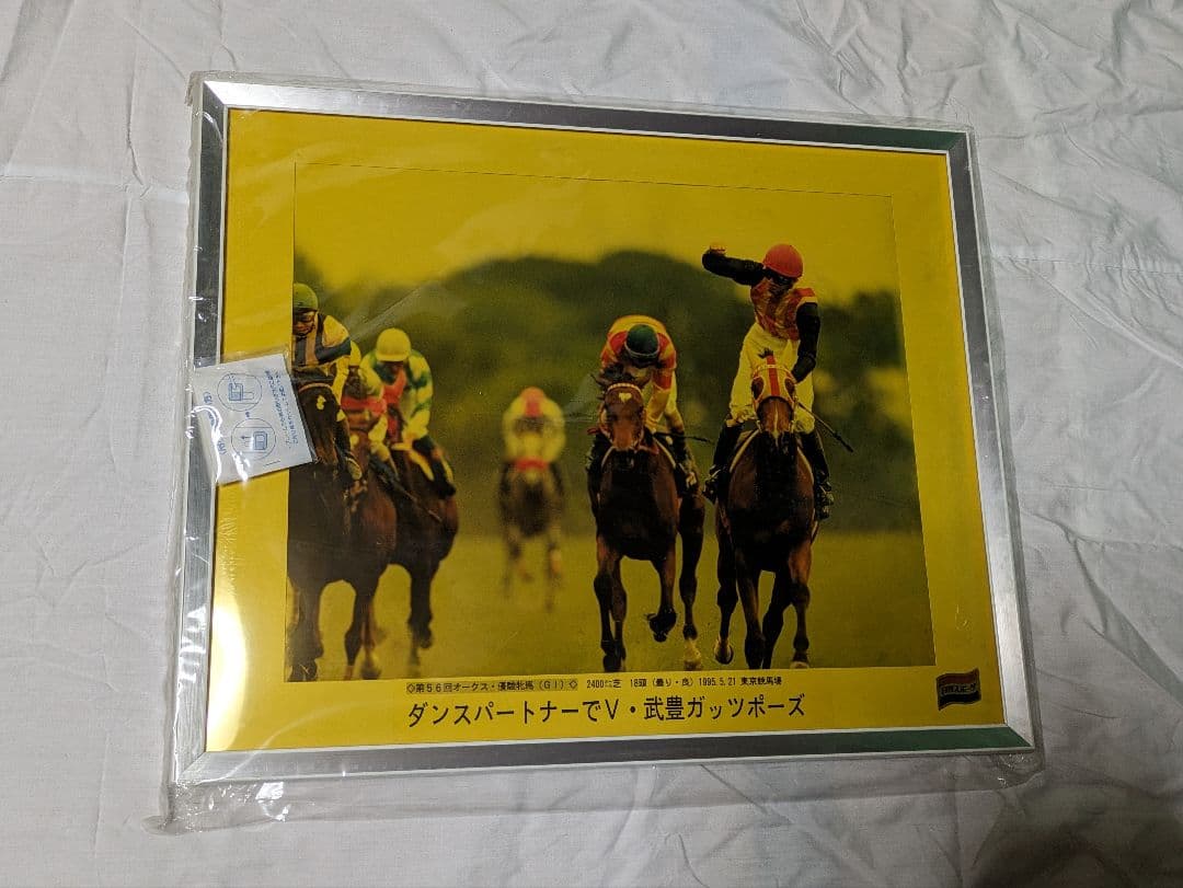 ダンスパートナー　武豊　オークス　競走馬　写真　パネル　額縁入り