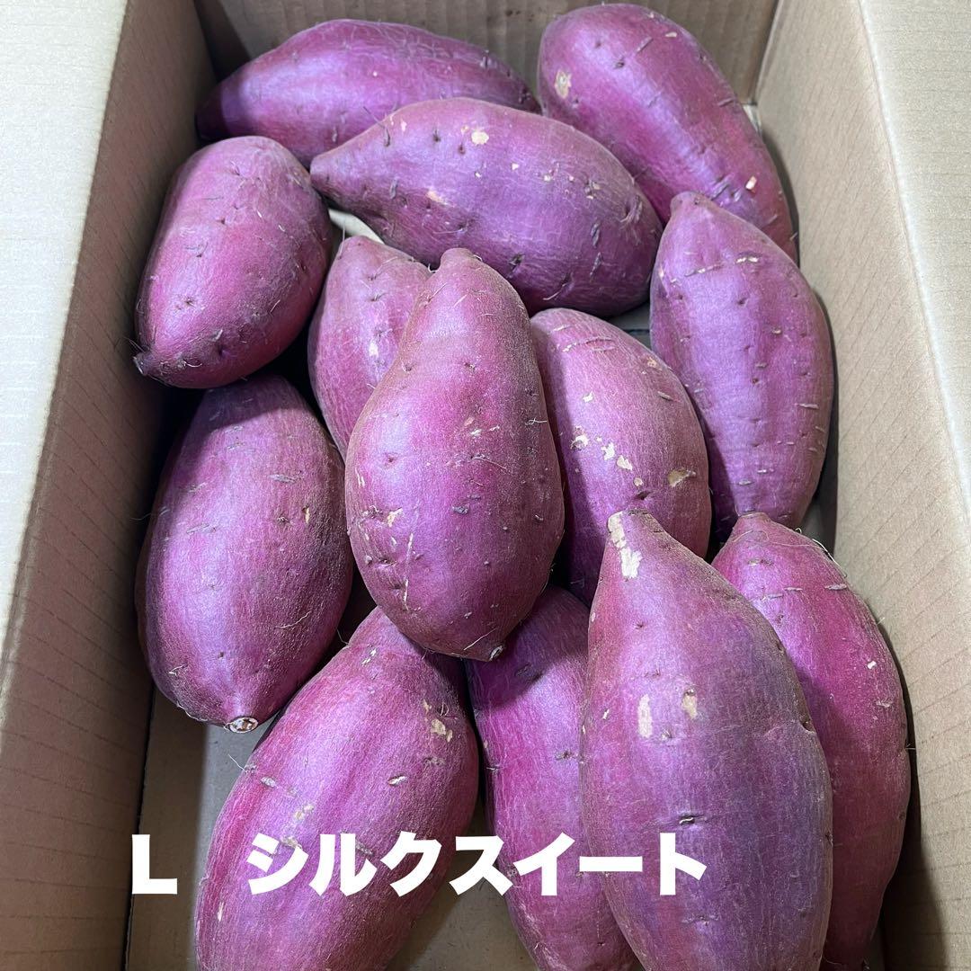 シルクスイート Lサイズ 20kg さつまいも