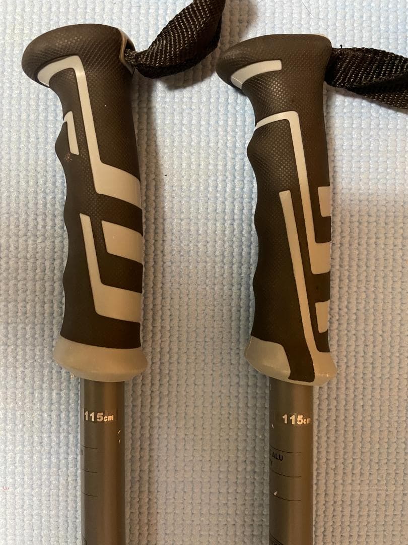 ROSSIGNOLのスキー板（160cm）とストック（115cm）