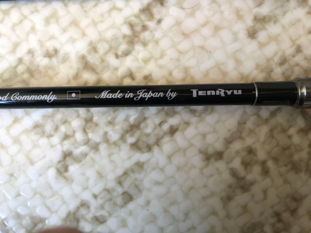 テンリュウ　レイズ