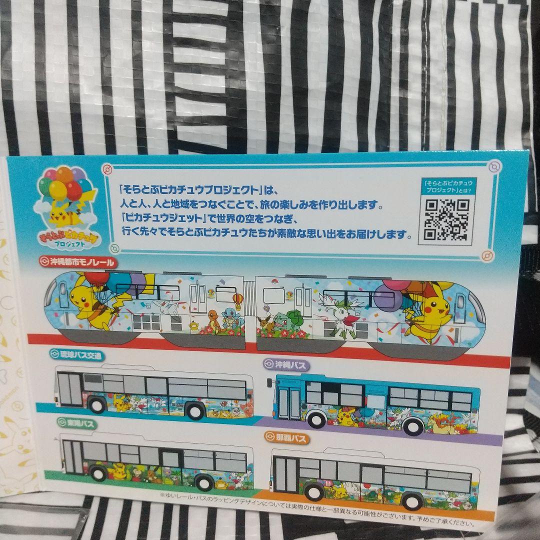 そらとぶピカチュウプロジェクト okika