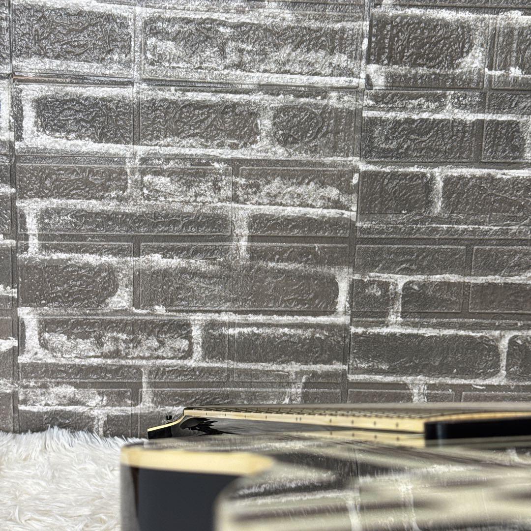 FERNANDES TE-95HT 布袋寅泰モデル G柄ストラップ付き！