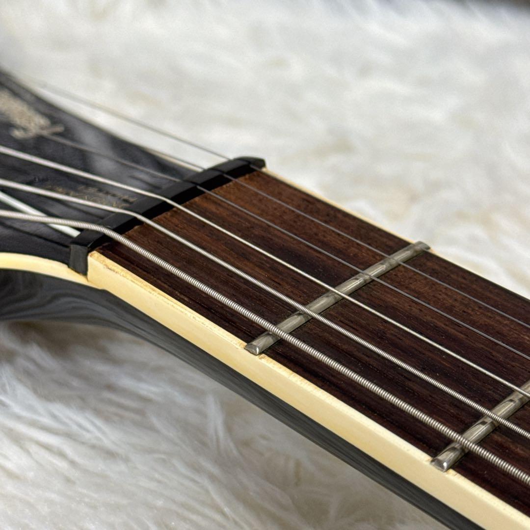 FERNANDES TE-95HT 布袋寅泰モデル G柄ストラップ付き！