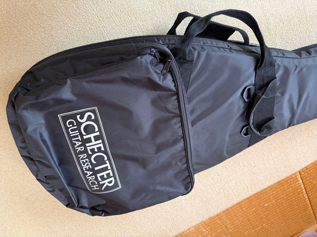 Schecter SD-DX-24-AS 限定18本