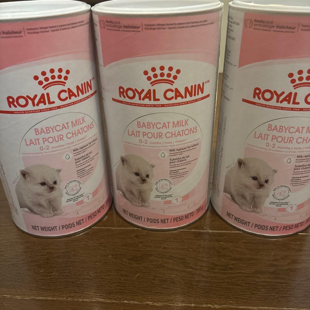 ロイヤルカナン ベビーキャット ミルク 誕生〜離乳期の子猫用 300ｇ３個セット