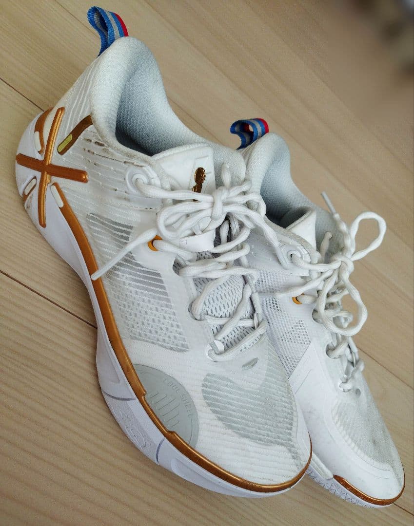 【駆け抜けろ！】LI-NING(リーニン)Wade Shadow 6/勝利の道