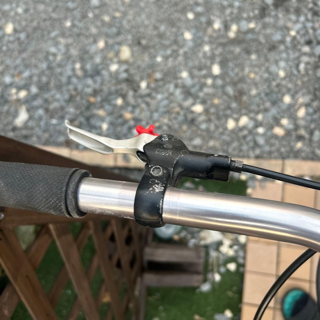 ECHO トライアル