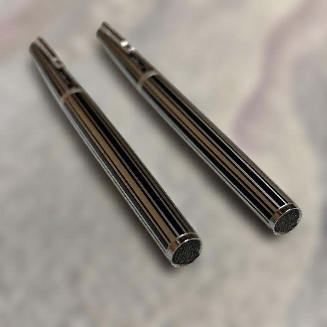 希少未使用　リビエール　プラチナ万年筆2本 PLATINAM Riviere細字