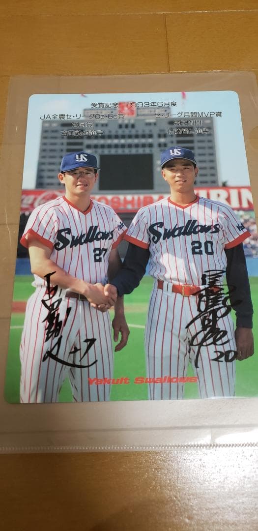 ヤクルト　下敷き