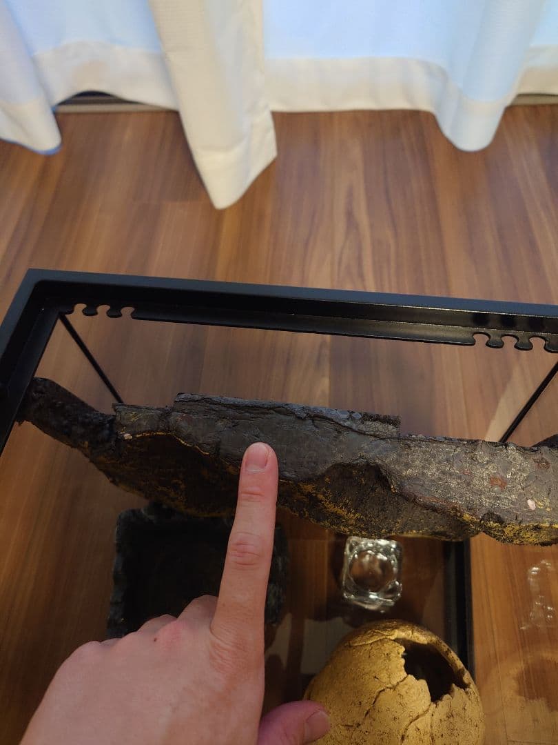 るなちゃんまん様用　グラステラリウム3030 爬虫類飼育セット　レオパ