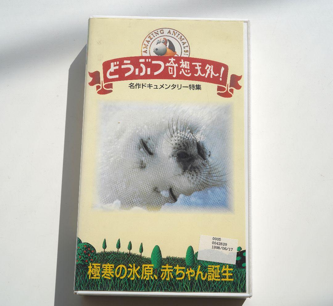 極寒の氷原、赤ちゃん誕生　動物奇想天外　タテゴトアザラシ＆コウテイペンギン