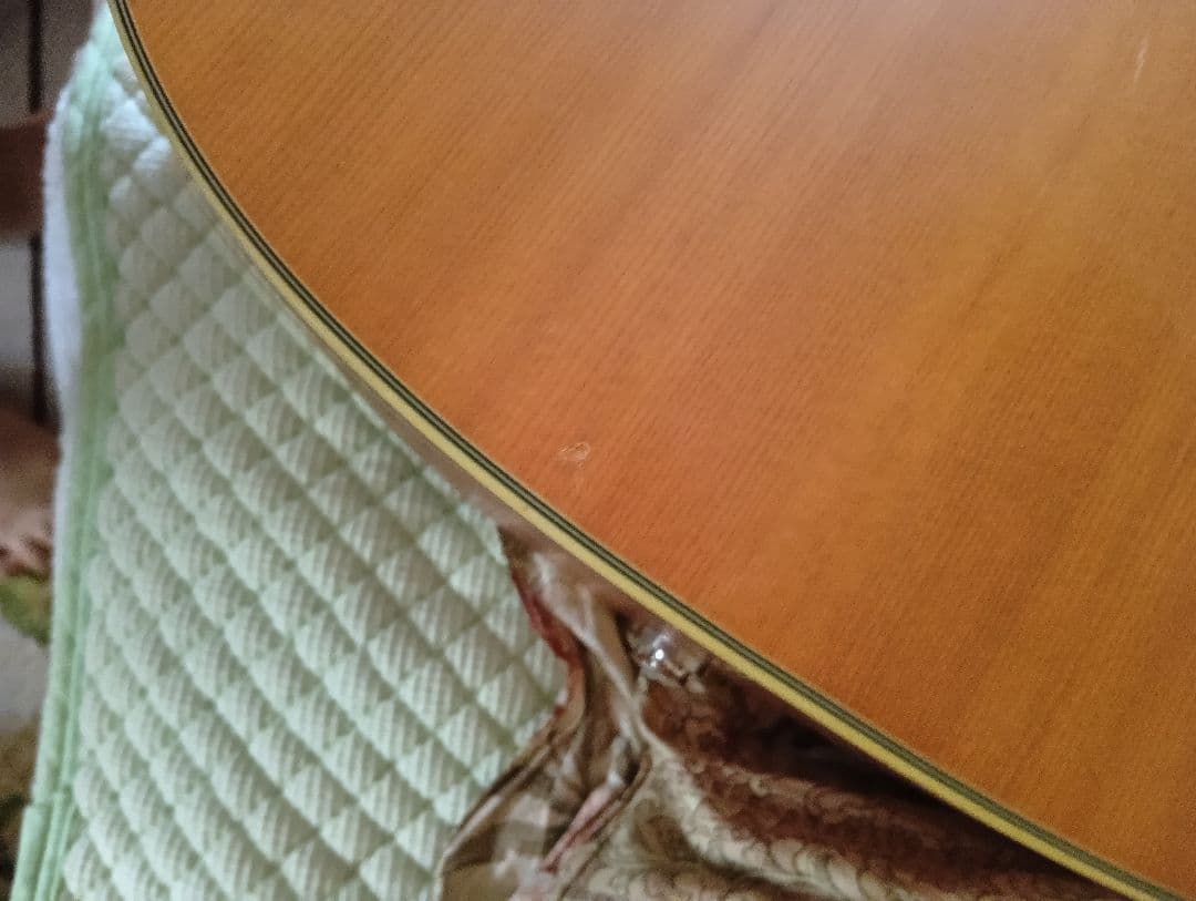 Fender DG-16NATアコースティックギターハードケース、ピックアップ付