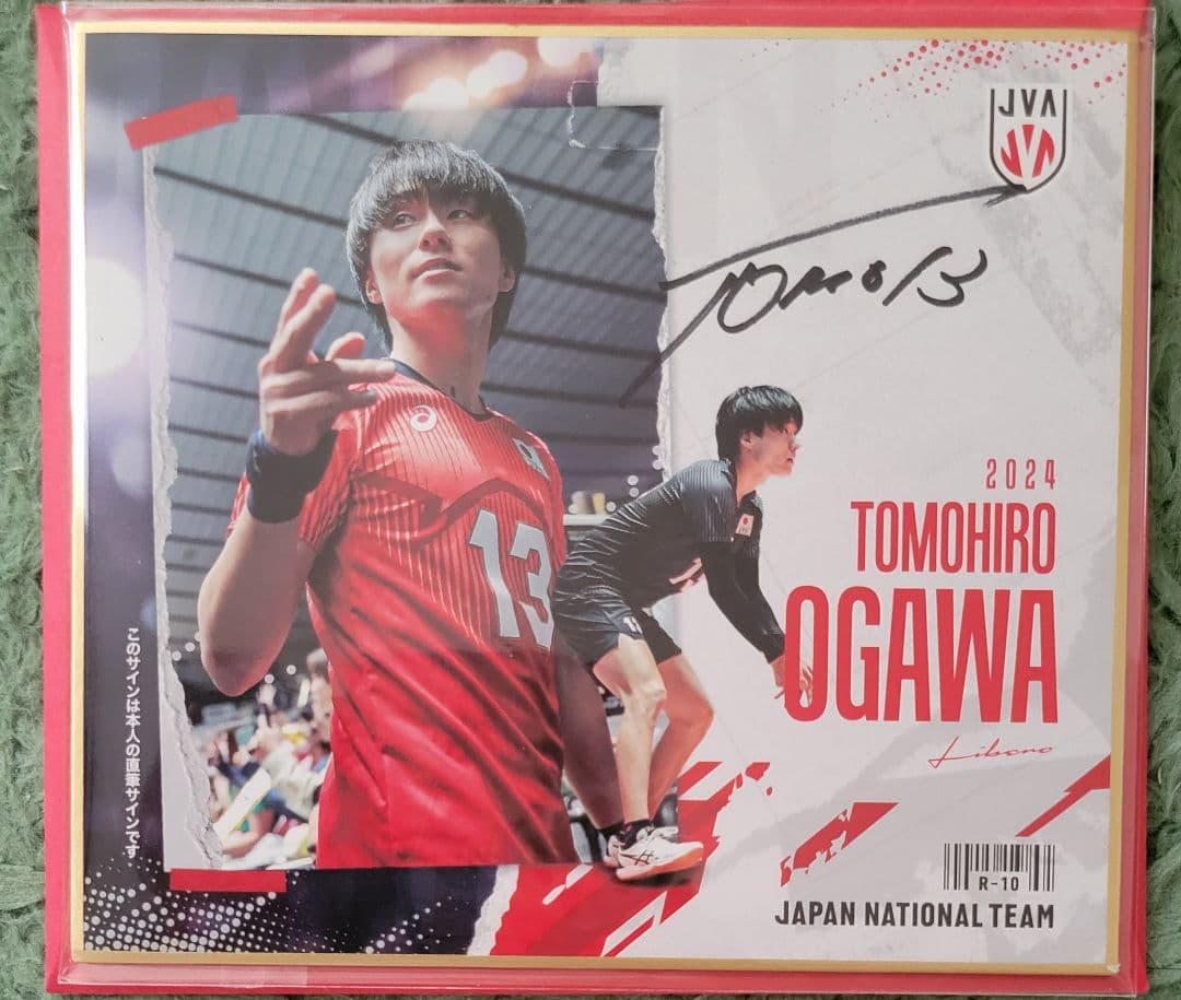 小川智大 直筆サイン ミニ色紙 男子バレー 日本代表 2024