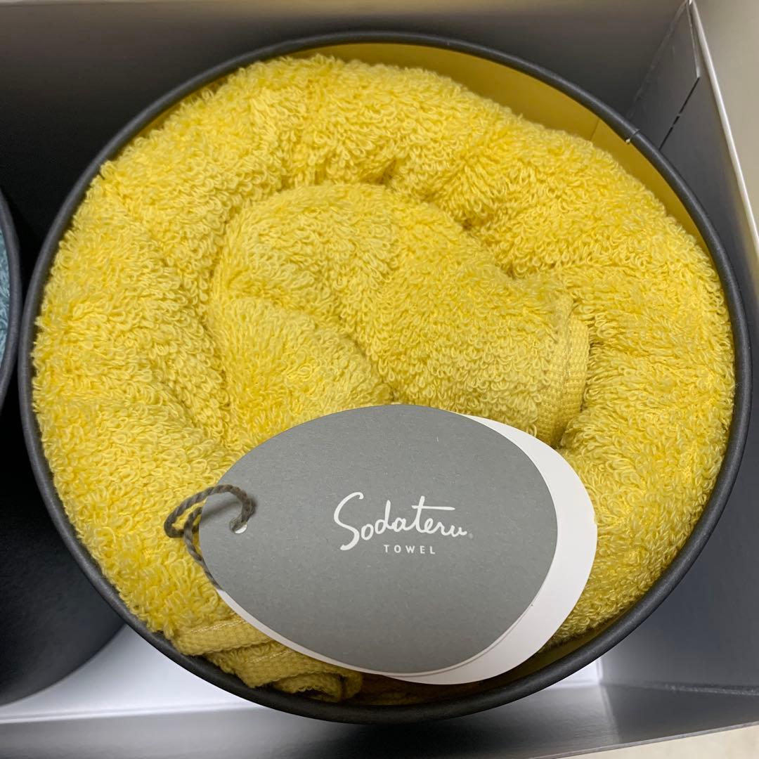 【新品未使用】育てるタオルfeelバスタオル　2枚