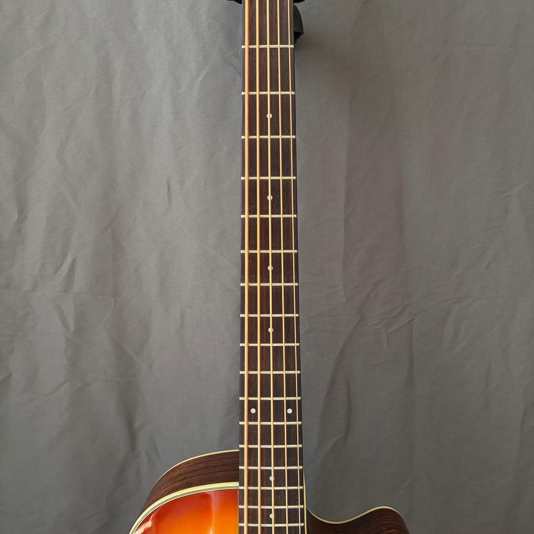 Ibanez AEB455 エレアコ 希少 美品 5弦 アコースティックベース