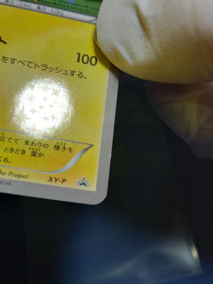 ʚ*ɞ様 XY-P ピッチのピカチュウ_Jリーグ「ファミリー Joinデイズ」