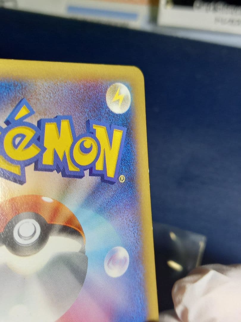 ʚ*ɞ様 XY-P ピッチのピカチュウ_Jリーグ「ファミリー Joinデイズ」