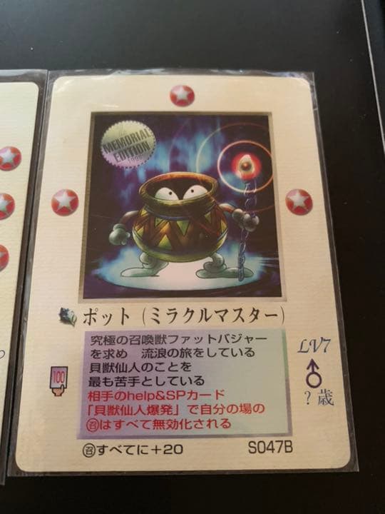 MOZ コスタ グレートノーム ポット