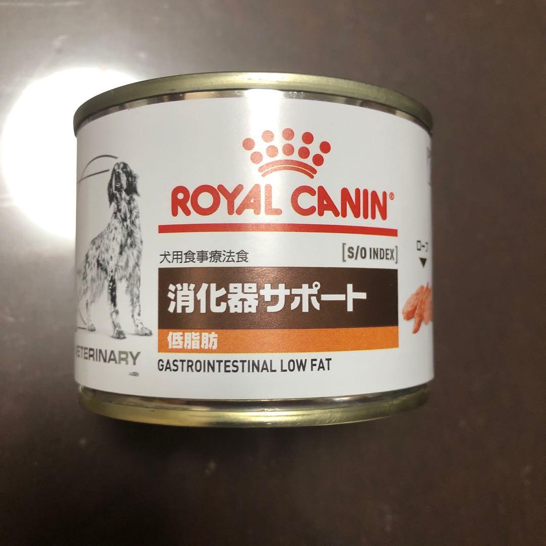  CANIN 消化器サポート 低脂肪 200g× 36缶
