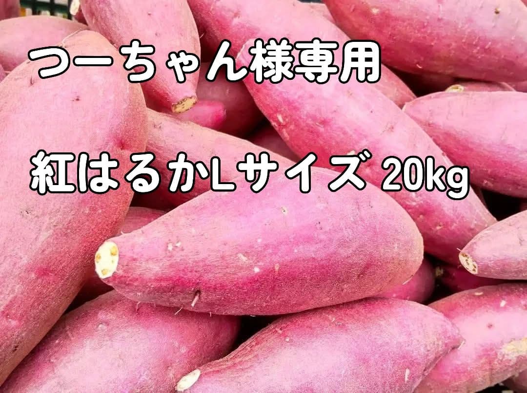 つーちゃん紅はるか