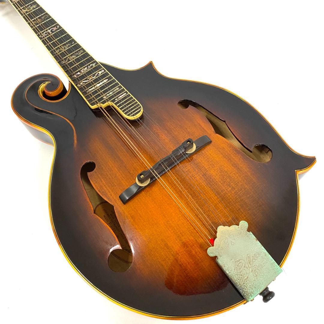 BLUEBELL ブルーベル F-12 フラットマンドリン