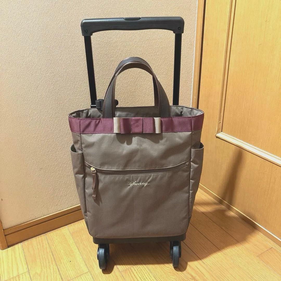SWANY D640 Mサイズ　ルバンド　キャリーバック　グレージュ色