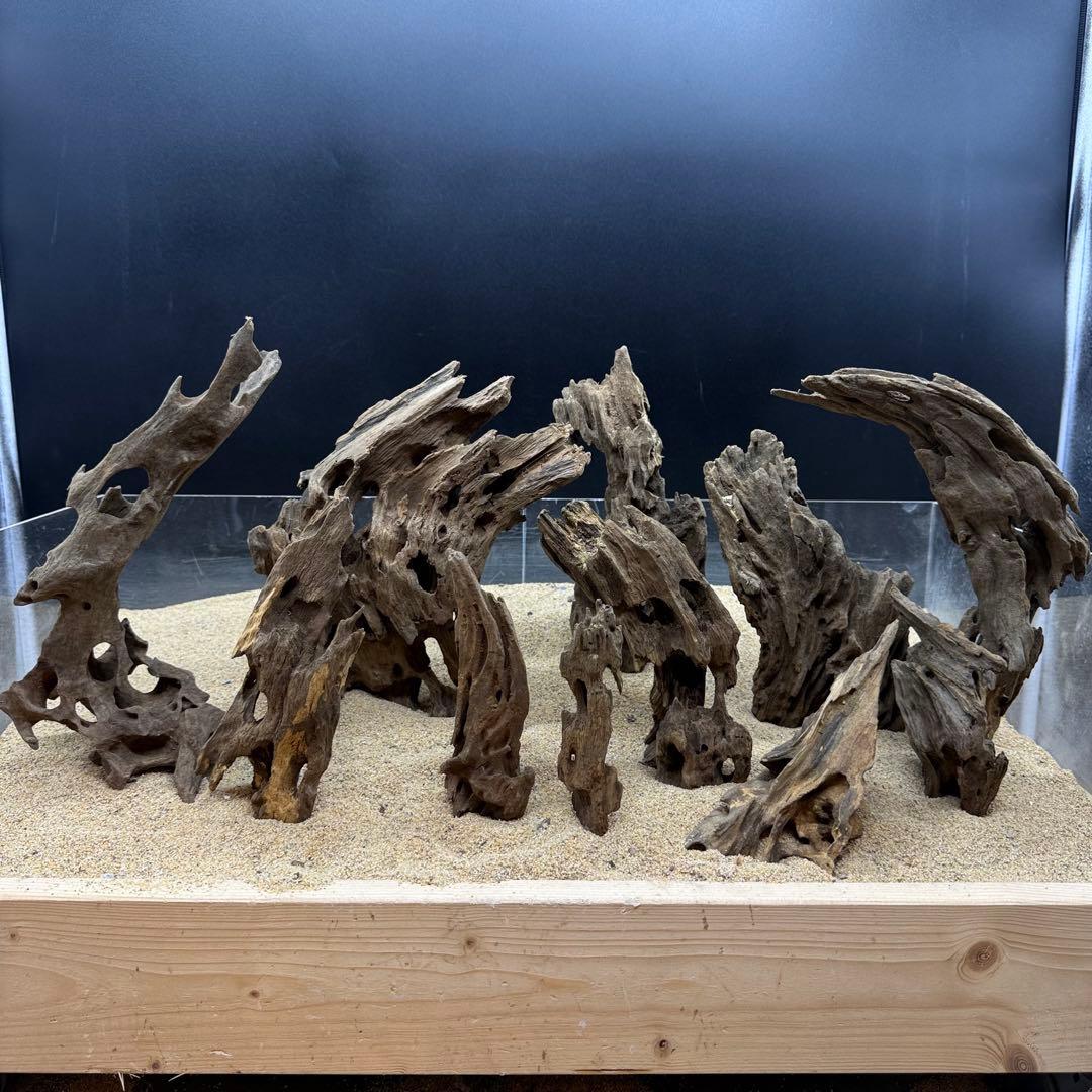 MMW-7138 マシンガンウッド　レイアウトセット　流木　アクアリウム