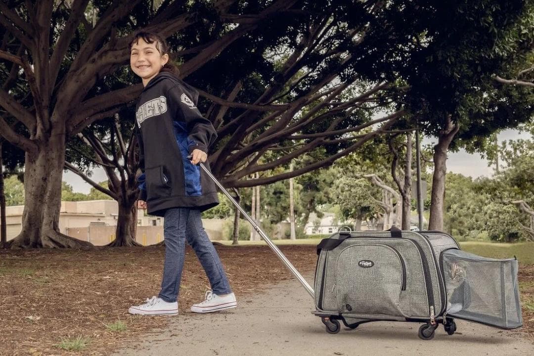 訳あり ペティーク ハッピーキャンパー ペットキャリー キャリーバッグ 犬 猫