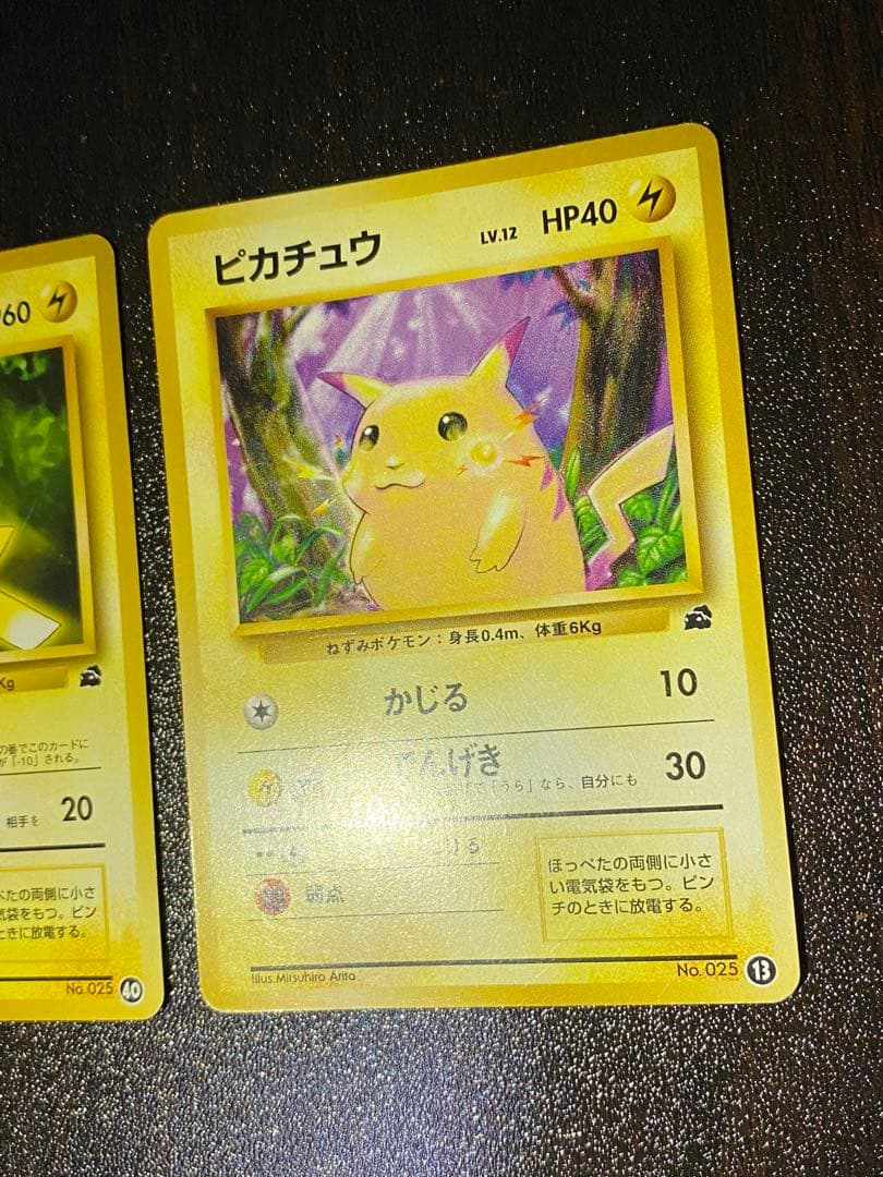 旧裏 イントロパック ピカチュウ 2種　希少　フシギダネマーク NO.25