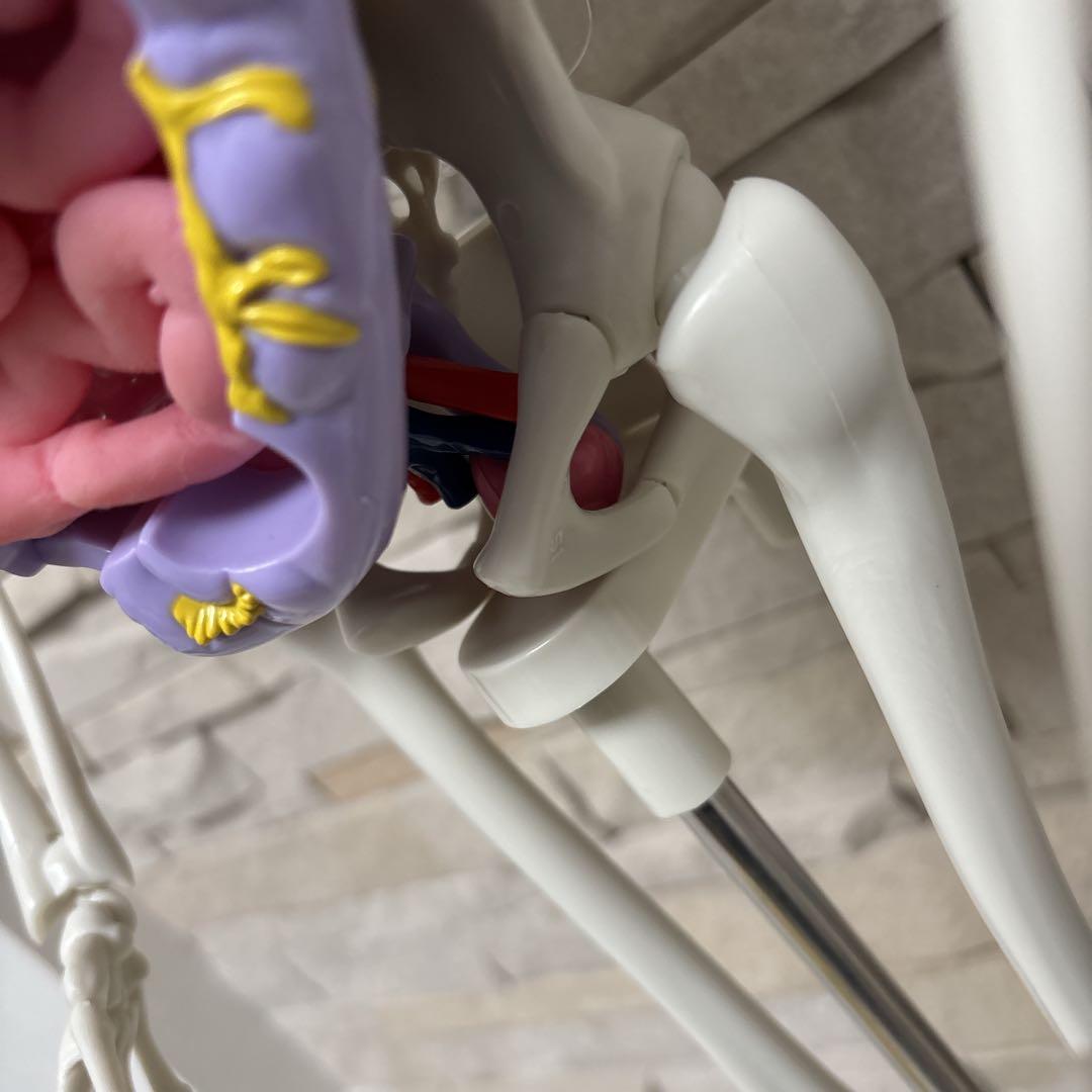 【美品】DEAGOSTINI おしゃべりガイコツ　ホネッキー