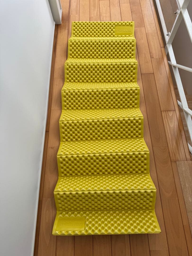 【逸 】サーマレスト Z ライトソル R レギュラーサイズ